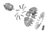 436877224_405115755799584_608182203848561675_n.jpg