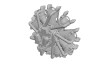437055806_405115402466286_3761058394973202552_n.jpg