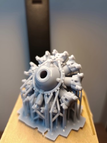 318925320_3524445171209743_3886440311249945294_n (1).jpg