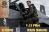 f35.png