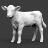 image (35).png