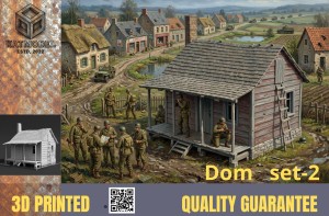 Dom 2     1/35 