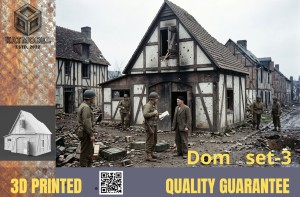 Dom 3    1/72 