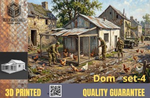 Dom  4    1/72